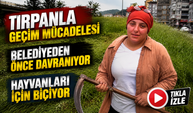 Rize’de Tırpanla Geçim Mücadelesi: “Nerede Ot Var Biz Oradayız”