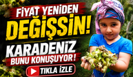 Ömer Fethi Gürer’den 250 Liralık Fındık Fiyatına Tepki: En Az 370 Lira Olmalı