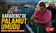 Karadeniz’de Palamut Umudu: Balıkçılar Yeni Sezona Hazırlanıyor