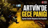 Artvin’de Gece Paniği: Ayının Sesini Duyunca Eve Kaçtılar