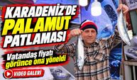 Karadeniz’de Palamut Patlaması; Vatandaş fiyatı görünce ona yöneldi
