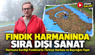 Fındık Harmanında Sıra Dışı Sanat; Harmana Serdiği Fındıklarla Türkiye Haritası ve Bayrağını Yaptı