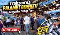 Trabzon’da palamut bolluğu: Tezgâhlarda fiyatlar 50 TL’den başlıyor