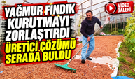 Karadeniz'de Yağmur Fındık Kurutmayı Zorlaştırdı Üretici Çözümü Serada Buldu!