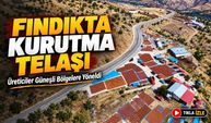 Giresun’da Fındık Kurutma Telaşı Sürüyor: Üreticiler Güneşli Bölgelere Yöneldi