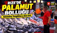 Karadeniz’den Kasalar Dolusu Palamut Geldi: Vatandaş Tezgâhlara Akın Etti