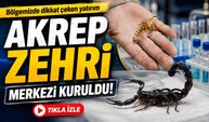 Bafra’da Dikkat Çeken Merkez: Akrep Zehri İçin AR-GE Başlıyor