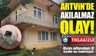 Artvin’de akılalmaz olay: Evin altından 8 aydır su fışkırıyor