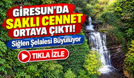 Giresun'da Saklı Cennet Ortaya Çıktı! Siğlen Şelalesi Büyülüyor