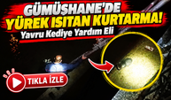 Gümüşhane'de Yavru Kedinin Yardımına Koştular! Kurtarma Mutlu Sonla Bitti