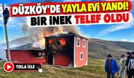 Düzköy’de Yayla Evi Yandı: Bir İnek Telef Oldu