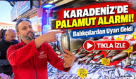 Karadeniz'de Palamut Alarmı!; Balıkçı Temsilcisinden Dikkat Çeken Açıklama
