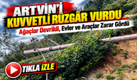 Artvin'de Kuvvetli Rüzgâr Üç İlçeyi Vurdu; Ağaçlar Devrildi, Evler ve Araçlar Zarar Gördü
