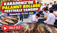 Karadeniz'de Palamut Bolluğu Festivale Yansıdı! Hamsinin Yerini Aldı