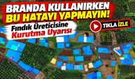 Fındık Üreticisine Kurutma Uyarısı: Branda Kullanırken Bu Hatayı Yapmayın