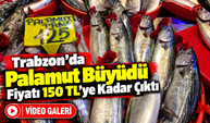 Trabzon’da Palamut Büyüdü: Fiyatı 150 Tl’ye Kadar Çıktı