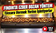 Fındıkta Ezber Bozan Yöntem; Tüccara Vermek Yerine İşletiyorlar