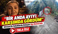Giresun’da Sokaklarda Dolaşan Ayı Kamerada; “Bir Anda Ayıyı Karşımda Gördüm”