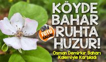 Osman Demirkır Baharı Kalemiyle Karşıladı: “Doğa Harika, Beden Yorulsa da Ruh Dinleniyor”