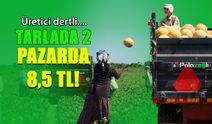 Tarlada 2, Markette 8,5 TL! Plan Eksikliği Üreticiyi Vurdu