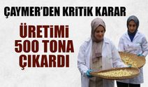 ÇAYMER'den Kritik Karar! Üretimi 50 Tona Çıkardı