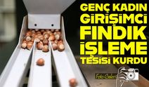 Giresunlu genç girişimci Esma Simay Gemici, fındık işleme tesisi kurdu