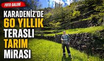 Karadeniz’de Teraslı Tarım Mirası 3. Kuşağa Ulaştı: 60 Yıllık Tarım Mirası