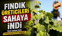 Karadeniz’de Fındık Üreticileri Yeni Sezon İçin Bahçelere İndi