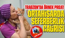 Trabzon’da Örnek Proje! Sokak Hayvanları İçin Seferberlik Çağrısı