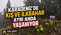 Karadeniz Yaylalarında Kartpostallık Bahar ve Kış Görüntüleri