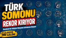 Karadeniz’de Yetişiyor Dünyanın Sofralarına Ulaşıyor! Türk Somonu Rekor Kırıyor