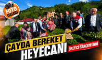 Artvin’de Yaş Çay Sezonu Başladı: İlk Hasatta Renkli Görüntüler Yaşandı