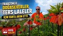 Trabzonlu Doğaseverler Ters Laleler İçin Van’a Akın Etti