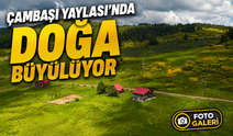 Karadeniz’in Doğal Güzelliği Çambaşı Yaylası Obalarıyla Birlikte Yazın Tadını Çıkarmak İsteyenleri Ağırlıyor