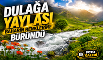 Gümüşhane’nin Torul İlçesindeki Dulağa Yaylası Çiçeklerle Kaplandı, Ziyaretçilerini Büyüledi