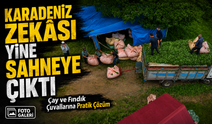 Karadeniz Zekâsı Yine Sahneye Çıktı: Çay ve Fındık Çuvallarına Pratik Çözüm