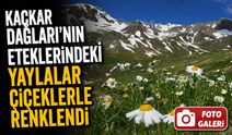 Artvin’in Yaylaları Çiçek Açtı, Kaçkar Zirvelerinde Kar Güzelliği Sürüyor
