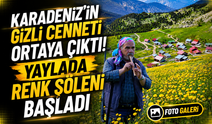 Karadeniz'in Gizli Cenneti Ortaya Çıktı! Yaylada Renk Şöleni Başladı