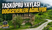 Gümüşhane’nin 2 Bin 140 Rakımlı Taşköprü Yaylası Doğaseverleri Ağırlıyor