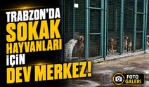 Büyükşehir’den Sahipsiz Hayvanlara Özel Merkez! Binlerce Hayvana Tedavi ve Bakım