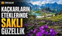 Kaçkarların Eteklerinde Saklı Güzellik: İspir Yedigöller Kartpostalları Aratmıyor
