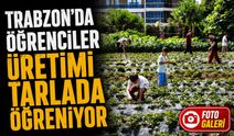 Trabzon’da Öğrenciler Tarlaya İndi: Üretimin Her Aşamasını Yerinde Öğrendiler