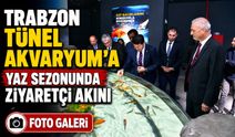 Trabzon Tünel Akvaryum’a Yaz Sezonunda Ziyaretçi Akını