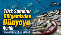 Ordu’da Balık Üretimi 28 Milyon Euro İhracat Geliri Sağladı