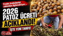 Fındık üreticilerini yakından ilgilendiriyor: 2026 patoz ücreti açıklandı