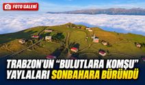 Trabzon’da büyüleyen sonbahar manzarası: Bulutlara komşu yaylalar renk değiştirdi