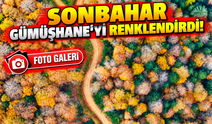 Gümüşhane'de Sonbahar Büyüsü! Doğaseverler Rotayı Değiştirip Yaylalara Çıktı