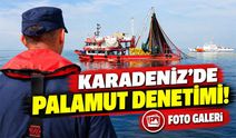 Palamut Avı Yoğunlaştı, Denetimler Arttı! Karadeniz'de Sahil Güvenlik Harekete Geçti