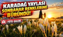 Trabzon'da Sonbahar Büyüsü! Karadağ Yaylası Renk Cümbüşüne Büründü