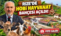 Rize'de Hobi Hayvanat Bahçesi Açıldı!; 750'den Fazla Canlı Ziyaretçilerini Bekliyor